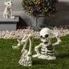 Hyde & EEK! Boutique Pig Skeleton Halloween Decorative Prop - Hyde & EEK! Boutique™ 1 Hyde & EEK! Boutique Pig Skeleton Halloween Decorative Prop - Hyde & EEK! Boutique™ -Hyde & EEK! Shop unnamed file 1489