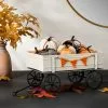 Hyde & EEK! Boutique 8ct Mixed Colors Knit Pumpkin Harvest Decorative Figurines - Hyde & EEK! Boutique™ 2 Hyde & EEK! Boutique 8ct Mixed Colors Knit Pumpkin Harvest Decorative Figurines - Hyde & EEK! Boutique™ -Hyde & EEK! Shop unnamed file 1864