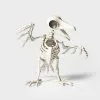 Hyde & EEK! Boutique Raven Skeleton Halloween Decorative Prop - Hyde & EEK! Boutique™ 2 Hyde & EEK! Boutique Raven Skeleton Halloween Decorative Prop - Hyde & EEK! Boutique™ -Hyde & EEK! Shop unnamed file 37