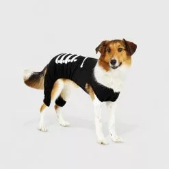 Halloween Skeleton Matching Family Sleep Dog and Cat Pajama - Hyde & EEK! Boutique™ Black -Hyde & EEK! Shop unnamed file 382