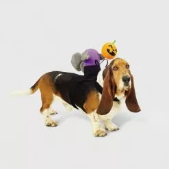 Headless Horseman Squirrel Rider Dog and Cat Costume - Hyde & EEK! Boutique™ -Hyde & EEK! Shop unnamed file 563