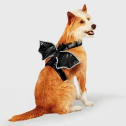 Reflective Bat Wings Rider Dog and Cat Costume - Hyde & EEK! Boutique™ 13 Reflective Bat Wings Rider Dog and Cat Costume - Hyde & EEK! Boutique™ -Hyde & EEK! Shop unnamed file 569