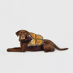 Monarch Butterfly Wings Rider Dog and Cat Costume - Hyde & EEK! Boutique™ 12 Monarch Butterfly Wings Rider Dog and Cat Costume - Hyde & EEK! Boutique™ -Hyde & EEK! Shop unnamed file 574