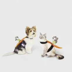 Surfing Squirrel Rider Dog and Cat Costume - Hyde & EEK! Boutique™ 11 Surfing Squirrel Rider Dog and Cat Costume - Hyde & EEK! Boutique™ -Hyde & EEK! Shop unnamed file 597