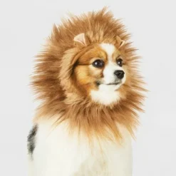 Lion Ruff Headwear Dog and Cat Costume - Brown - Hyde & EEK! Boutique™ 11 Lion Ruff Headwear Dog and Cat Costume - Brown - Hyde & EEK! Boutique™ -Hyde & EEK! Shop unnamed file 670