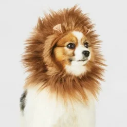 Lion Ruff Headwear Dog and Cat Costume - Brown - Hyde & EEK! Boutique™ 12 Lion Ruff Headwear Dog and Cat Costume - Brown - Hyde & EEK! Boutique™ -Hyde & EEK! Shop unnamed file 671