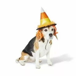 Candy Corn Witch Hat Dog and Cat Costume - Hyde & EEK! Boutique™ 13 Candy Corn Witch Hat Dog and Cat Costume - Hyde & EEK! Boutique™ -Hyde & EEK! Shop unnamed file 712
