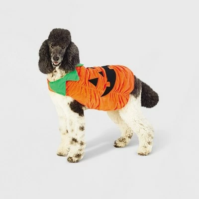 Plush Pumpkin Dog and Cat Costume - Hyde & EEK! Boutique™ 11 Plush Pumpkin Dog and Cat Costume - Hyde & EEK! Boutique™ - Image 9