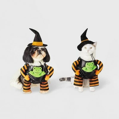 Witch with Toy Frog Dog and Cat Costume - Hyde & EEK! Boutique™ 6 Witch with Toy Frog Dog and Cat Costume - Hyde & EEK! Boutique™ - Image 4
