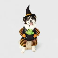 Witch with Toy Frog Dog and Cat Costume - Hyde & EEK! Boutique™ 17 Witch with Toy Frog Dog and Cat Costume - Hyde & EEK! Boutique™ -Hyde & EEK! Shop unnamed file 812