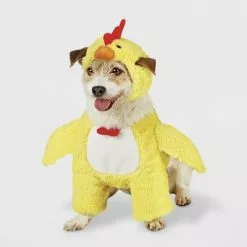 Baby Chick Dog and Cat Costume - Hyde & EEK! Boutique™ 15 Baby Chick Dog and Cat Costume - Hyde & EEK! Boutique™ -Hyde & EEK! Shop unnamed file 832