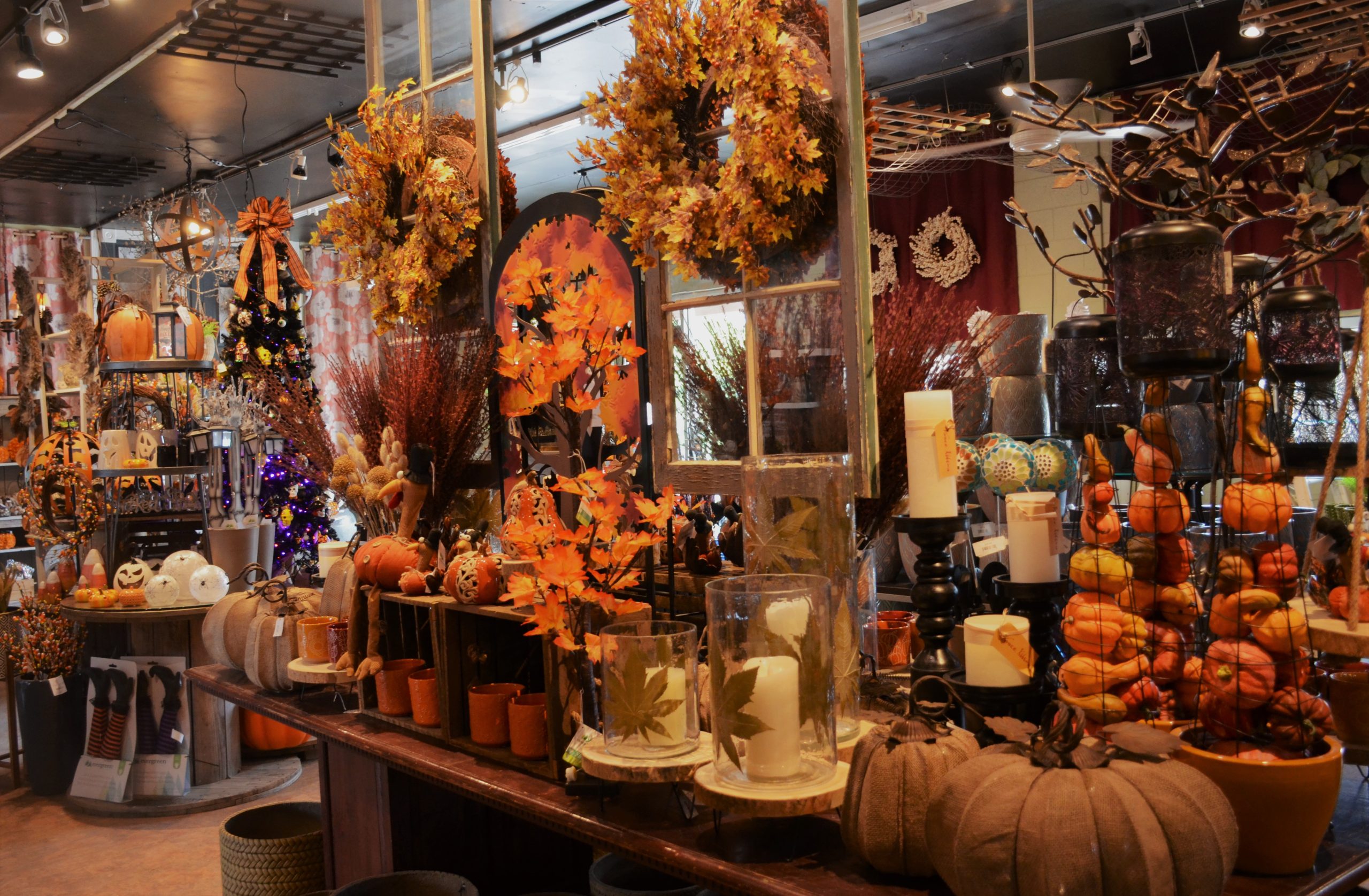 Hyde Boutique -Hyde & EEK! Shop Halloween 2023 Heydens Gardens Cedarburg Wisconsin 13 scaled 1